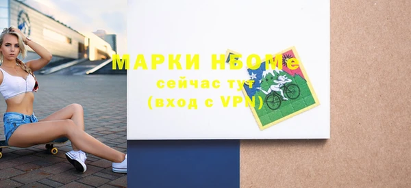 гашик Ладушкин