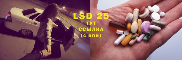 прущие грибы Краснотурьинск
