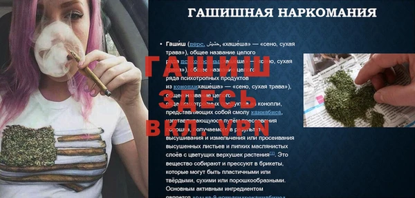 гашик Ладушкин