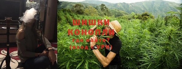 прущие грибы Краснотурьинск