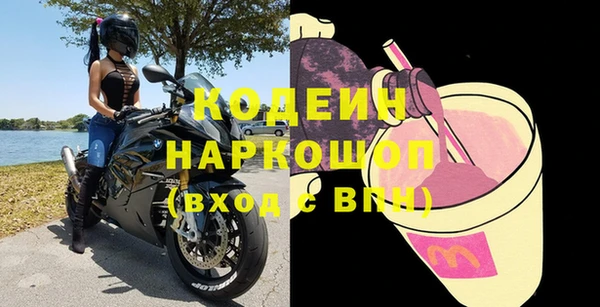 гашик Ладушкин