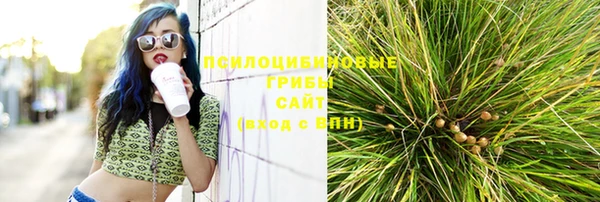 крисы Лиски