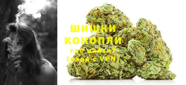 гашик Ладушкин