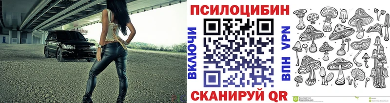 Псилоцибиновые грибы Psilocybine cubensis где продают Курганинск